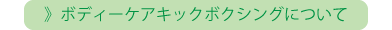 ドローインキックボクシング